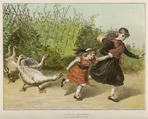 Pursued by Geese