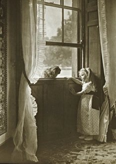 Sill Gallery: Pussy Cat, where have you been?