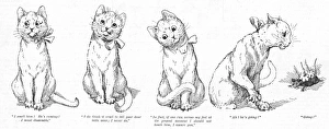 Wain Gallery: Pussys nightmare by Louis Wain