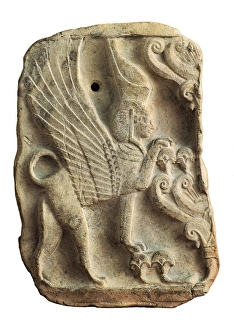 Cotta Gallery: Pynax. 6th c. BC. Carthaginian art. Terra-cotta