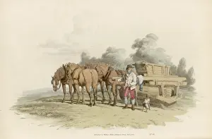 Pyne - Grass Roller