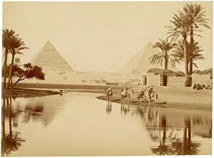 Sepia Collection: Pyramids of Gizeh, Egypt