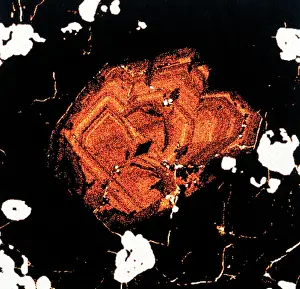 Pyrochlore