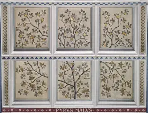 Malus Prints: Pyrus malus, apple