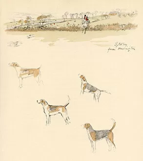 Pytchley Hunt from Harrington, Northamptonshire