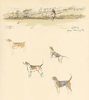 Foxhunt Prints: Pytchley Hunt from Harrington, Northamptonshire