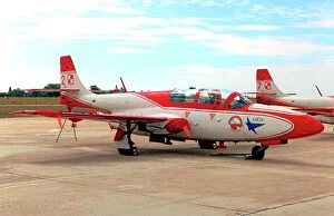 Aerobatic Collection: PZL-Mielec TS-11 Iskra 2008 - 2