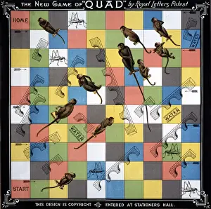 Quad Game