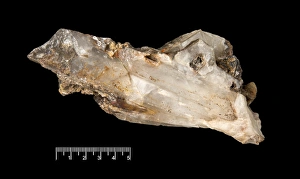 Images Dated 30th April 2015: Quartz crystal
