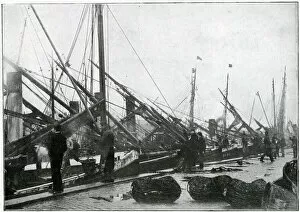 Images Dated 12th January 2018: Quay at Great Yarmouth - Herring Harvest 1905