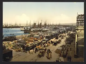 Quay de la Joliette, Marseilles, France