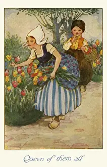 Tulips Prints: Queen of them all