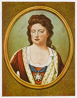 Ermine Prints: Queen Anne / Bolt Mini