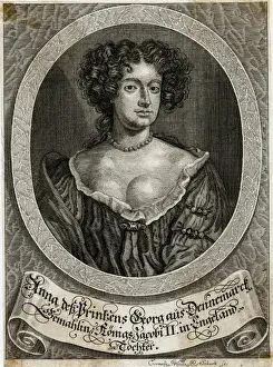 Curls Prints: Queen Anne / Schurh