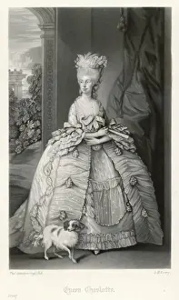 Queen Charlotte / Every