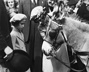 Images Dated 16th December 2011: Queen Elizabeth II as a child with a donkey