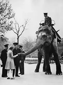 Queen Elizabeth II feeds elephants at London Zoo