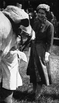 Queen Elizabeth II inspecting a cattle champion, 1957
