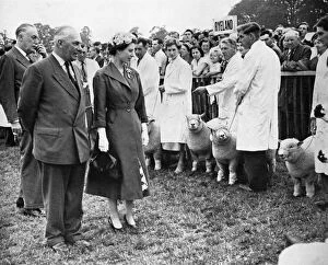 Images Dated 14th July 2011: The Queen inspects prizewinning sheep