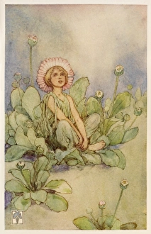 Fairies Gallery: Queen of the May