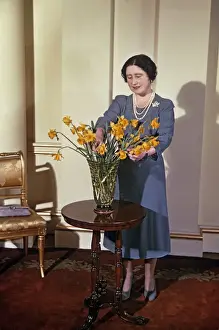 Daffodils Prints: Queen Mother arranging daffodils