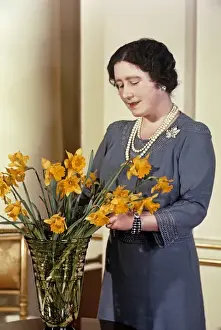 Queen Mother arranging yellow daffodils