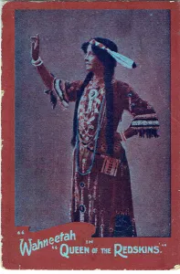 Litchfield Prints: Queen of the Redskins by Emma Litchfield