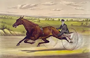 Trotter Prints: The queen of the turf Maud S. driven by W. W. Bair: by Harold