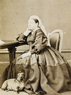 Pictured Collection: Queen Victoria / Dachshund