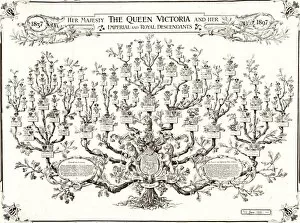 Royal Gallery: Queen Victoria family tree 1897