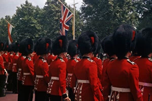 Attention Gallery: Queens Guard, The Mall, London