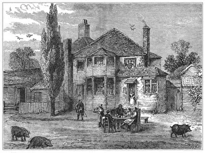 Albany Collection: Queens Head and Artichoke