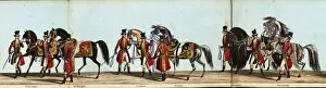 Aquatint Gallery: Six of the Queens Horses in Queen Victorias coronation