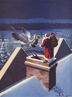 Images Dated 3rd February 2016: A Question of Precedence by Dennis Mallet