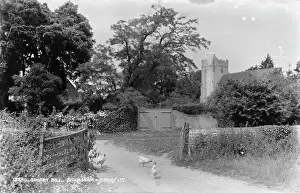 Chickens Prints: A Quiet Country Lane in Sidlesham