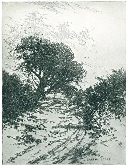 Cloaked Collection: A Quiet Country Road