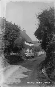 Newquay Prints: A Quiet Lane in Porth, Newquay