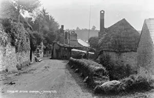 A Quiet Lane in Stoke Gabriel