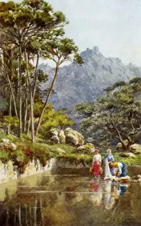 Sintra Prints: A quiet pool at Cintra