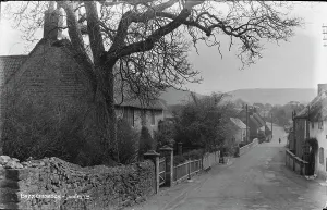 Solitude Prints: A Quiet Street in Chideock