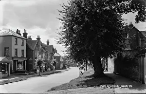 Sidewalk Prints: A Quiet Street in Lindfield