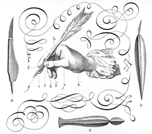Quill Pen / Diderot