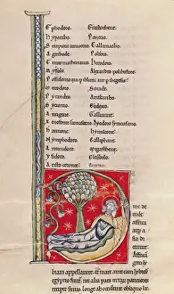 Pliny Prints: QUIRINIUS (-?-21); Pliny The Elder (23-79)