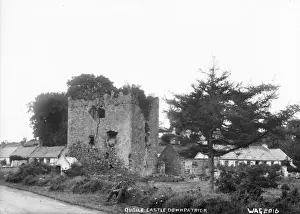 Quoile Castle, Downpatrick