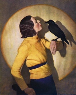 Images Dated 9th February 2016: Quoth the Raven Never More by David Duggin