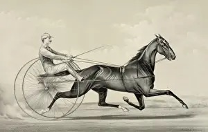 Trotter Prints: R. B. Conklings bay gelding Rarus, the King of Trotters: dri