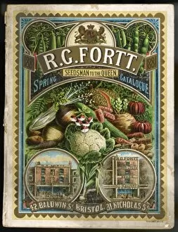 Seed Collection: R G Fortt gardening catalogue