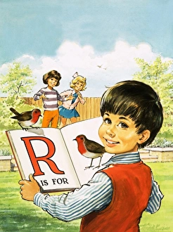 Images Dated 29th November 2007: R is for Robin