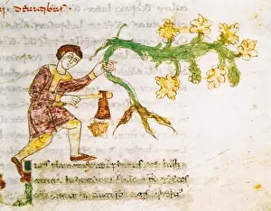 Rabanus, Maurus (C. 780