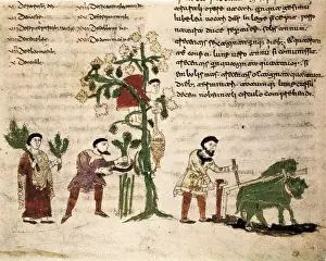 Universo Prints: RABANUS, Maurus (c